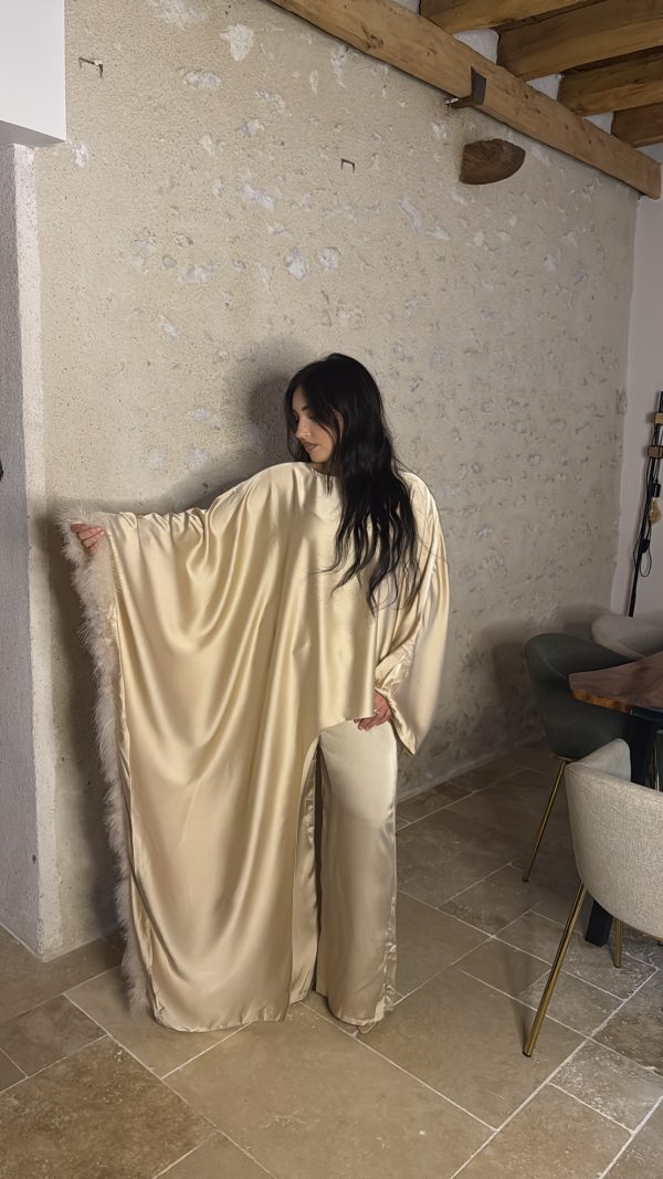 Ensemble Plume
